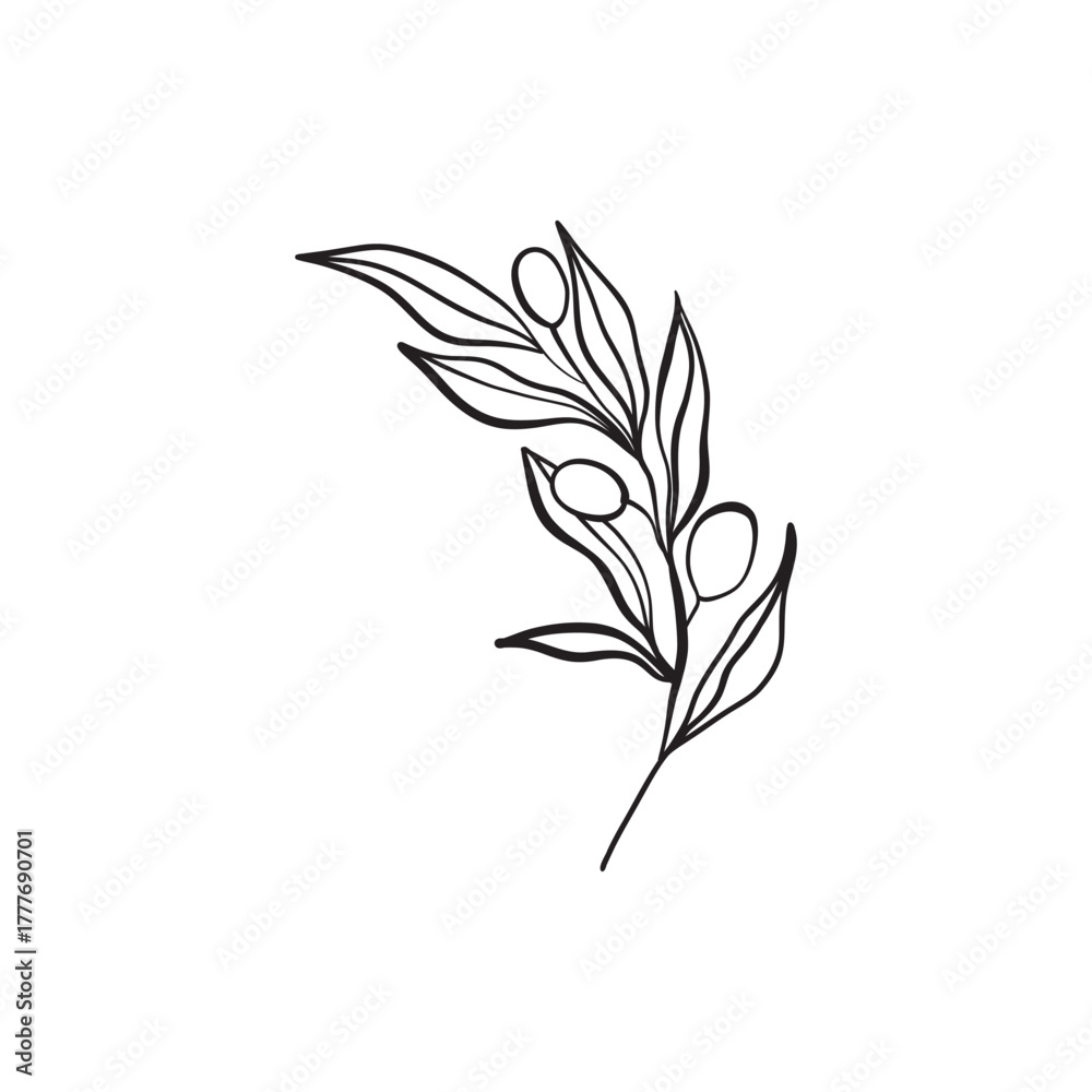 Fototapeta premium vector hand drawn branch. botanical illustration. floral art. botanical elements for wedding invitation, greeting card, t - shirt design and print. elegant