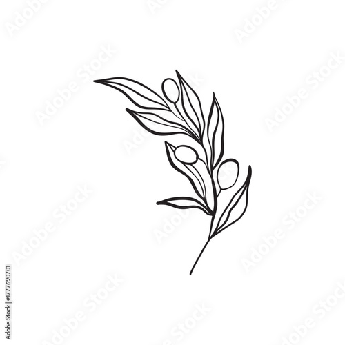 vector hand drawn branch. botanical illustration. floral art. botanical elements for wedding invitation, greeting card, t - shirt design and print. elegant