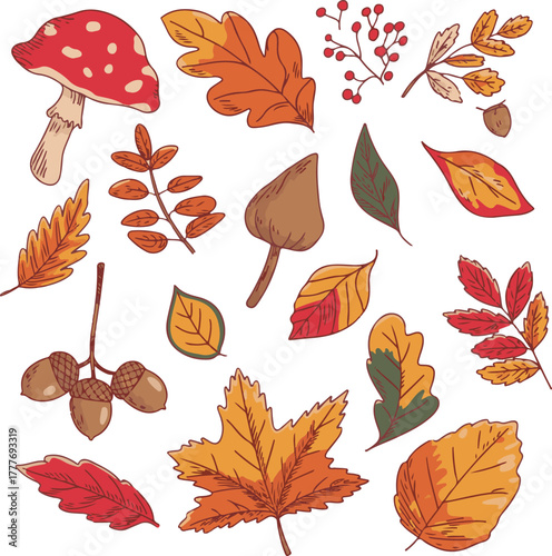 autumn leaves collection