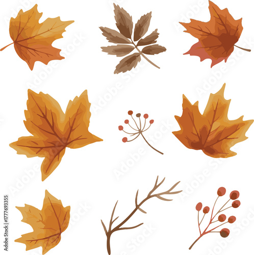 autumn leaves background