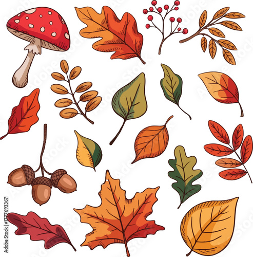 autumn leaves vector