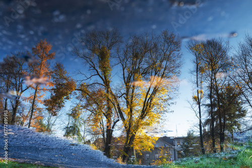 Fototapeta Naklejka Na Ścianę i Meble -  Odbicie dzrew w kałuży, jesienny krajobraz. 