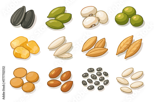 Grains icons rice corn organic vector sunflower seeds seed flax pea icon