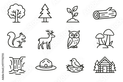 Vector forest icons sapling hut squirrel bird conservation fallen icon oak owl