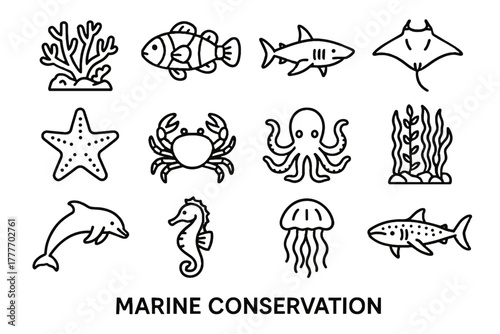 Marine icon ray conservation clownfish vector reef icons forest crab octopus jellyfish