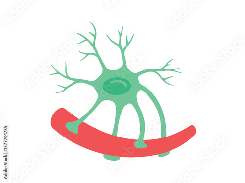 Astrocytes Glial Cells