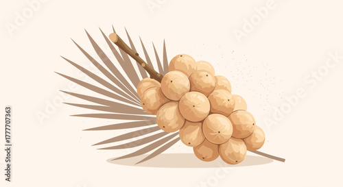 Illustrated Bunch Of Longan Fruit With Palm Frond And Branch Design Illustration