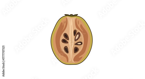 Illustration Of A Freshly Cut Feijoa Showing Internal Structure Against White Background