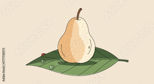 Illustration Of A Pear Resting On A Leaf With Dew Drops And A Tiny Ladybug