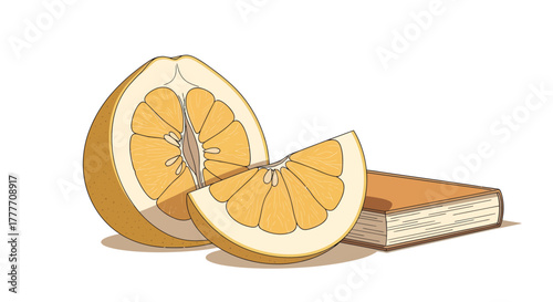 Illustration Of A Pomelo Slice Beside A Book Depicting Education And Citrus Fruits