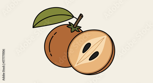 Illustration Of A Sapodilla Fruit With A Slice Showing  Seeds And Leaf Decoration