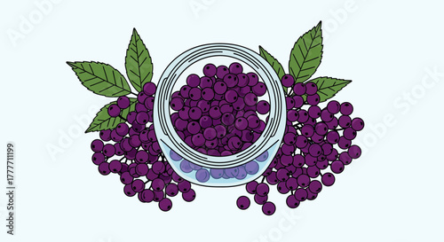 Illustration Of Purple Berries In A Glass Jar Accompanied By Vibrant Green Leaves