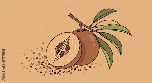Illustration Of Sapodilla Fruit With Cut Section And Artistic Design Against A Peach Background