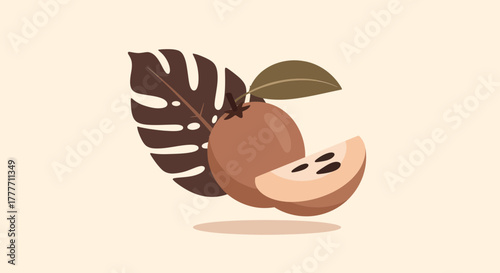Illustration Of Sapodilla With A Slice And Monstera Leaf In Minimalist Style Design