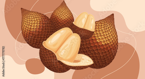 Illustration Of Exotic Salak Fruit With Abstract Background In Warm Tones