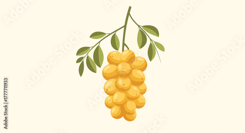 Illustration Of Fruity Yellow Grape Bunch With Green Leaves On A Branch Clean Background
