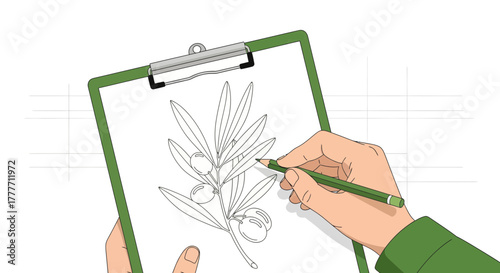 Illustration Of Hand Sketching An Olive Branch On A Green Clipboard