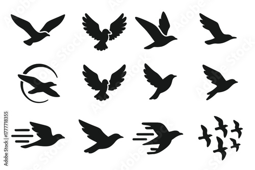 Bird Flight Icons. Solid style icons of bird flight: soaring bird, flapping wings, bird gliding, bird swooping, bird circling,