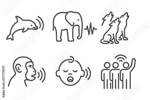 Mammal Sound Icons. Line style icons of mammal acoustic studies: marine mammal call, elephant low frequency wave, wolf pack howl,