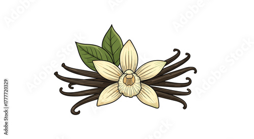 Artistic illustration of a creamy vanilla flower, vibrant green leaves, and several dark brown vanilla beans, representing natural essence.