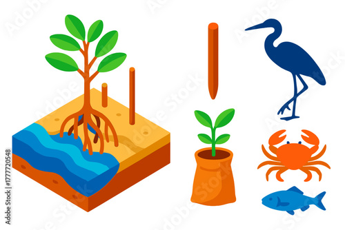 Mangrove Restoration Icons. Isometric vector illustration set Climate action – coastal mangrove restoration, planting stake,