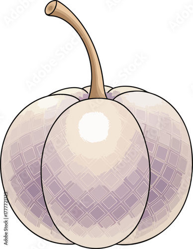 Isolated illustration of a winter squash on a white backdrop