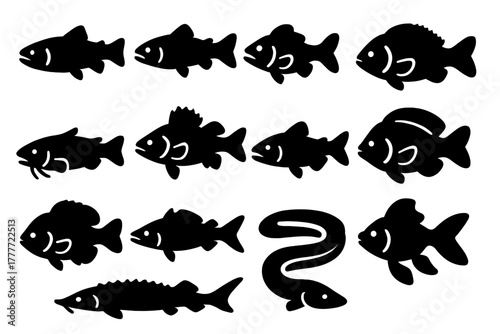 Solid Freshwater Fish Icons. Solid style icons of freshwater fish: trout, salmon, bass, carp, catfish, perch, pike, tilapia,