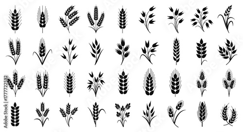 A comprehensive set of 45 black silhouette icons featuring various grain crops, including wheat, barley, rye, and oats, on a white background.