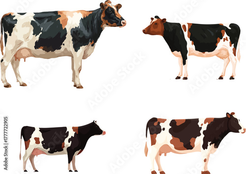 flat vector illustration of a cow, in a simple and cute style, on a white background