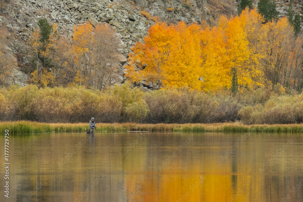 Fototapeta premium Fall color in Eastern Sierra, California