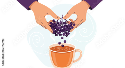 Making Herbal Tea: Infusion With Berries Into A Warm Beverage Illustration