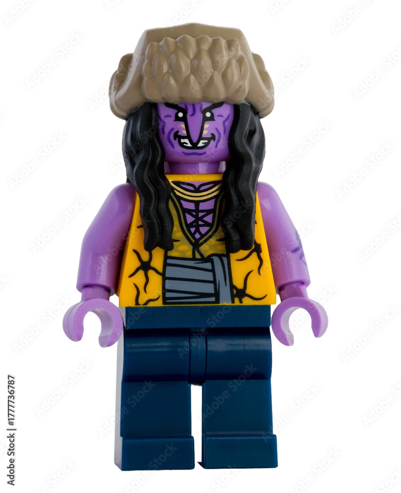 Obraz premium Dortmund - Deutschland 4. November 2025 - Lego Figur Arlong Serie One Piece - Studio Aufnahme