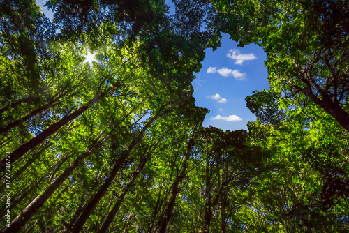 Symbolic Sustainability Concept with a Silhouette of Green Germany
