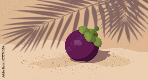 Mangosteen Fruit Beneath Palm Shadows in a Tropical Sunlight Illustration