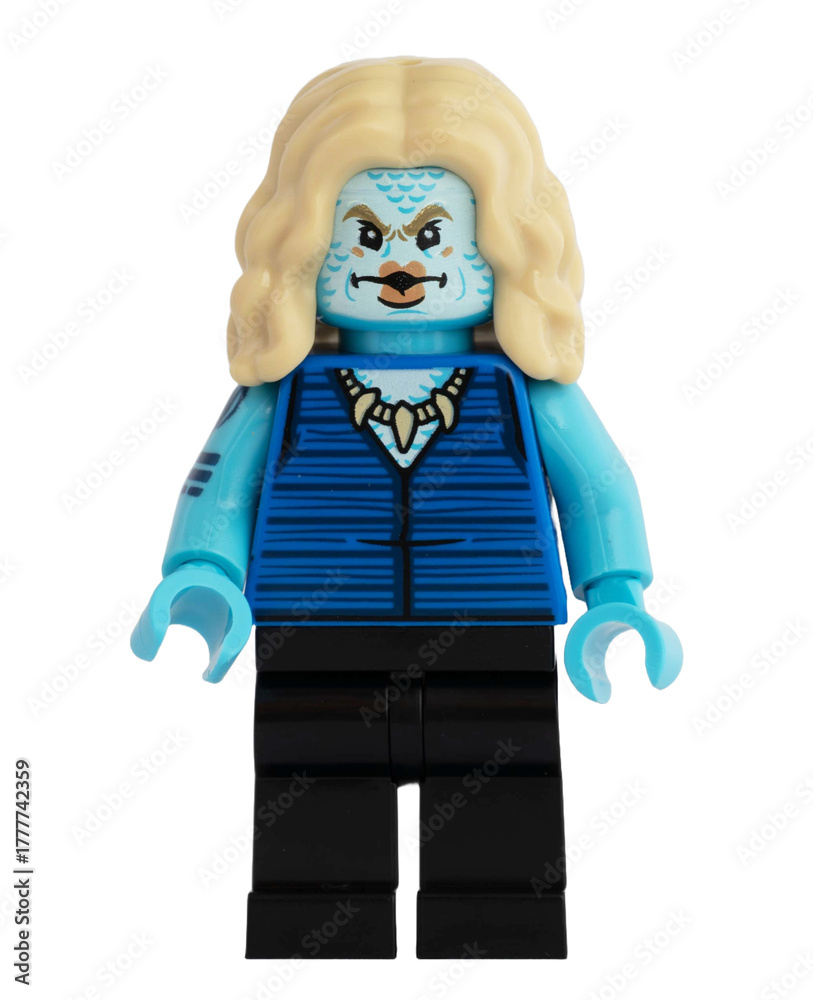 Obraz premium Dortmund - Deutschland 4. November 2025 - Lego Figur Fischmann Chew der Serie One Piece - Studio Aufnahme