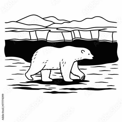 Polar bear walking on ice floe