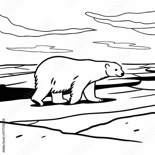 Polar bear walking on ice floe for coloring