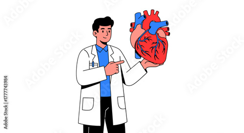 Medical Professional Displays Human Heart, Highlighting Anatomy Knowledge, Diagnostic Healthcare