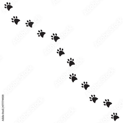 Paw print of a dog or cat. Footprint pet. Black lines animal prints isolated on white background. Tiger paws. Cute canine pattern. Puppy track. Feline step outline. Kitten leg. Vector illustration.