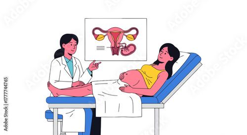 Medical Illustration Depicting Pregnancy Examination and Anatomical Explanation