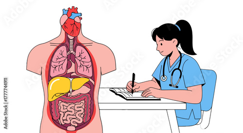 Medical Illustration Of A Human Body And A Doctor Analyzing The Data
