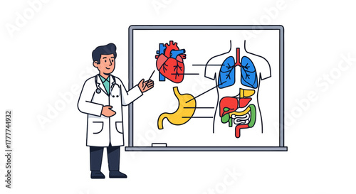Medical Illustration Of The Inside Human Body Systems With A Doctor Explaining