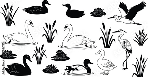 Collection of waterfowl and aquatic plants isolated on white background