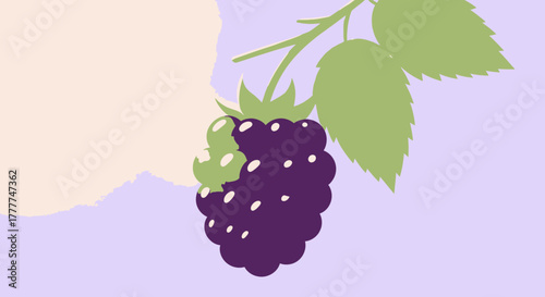 Minimalist Blackberry Artwork Depicting Deliciousness and Nature on a Soft Purple Background