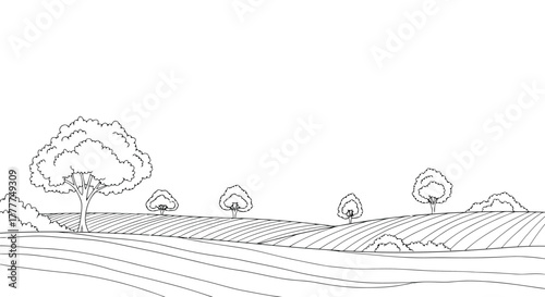 Minimalist black and white line art illustration depicting a tranquil rural landscape, featuring rolling cultivated fields and scattered trees
