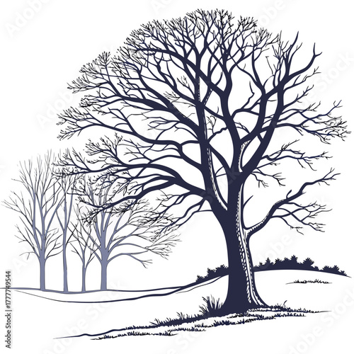 A tranquil winter scenery features majestic bare trees gracefully adorning snowcovered slopes, creating a peaceful and picturesque view