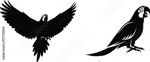 Black parrot silhouette illustration, flying parrot vector, perched parrot design, exotic tropical bird artwork, wildlife drawing, decorative animal graphic