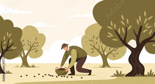 Olive Harvest Scene Depicting Agricultural Labor And The Bountiful Olive Orchard