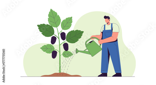 Nurturing Mulberry Tree: Farmer Watering Plant with Green Watering Can, Cultivating Berries
