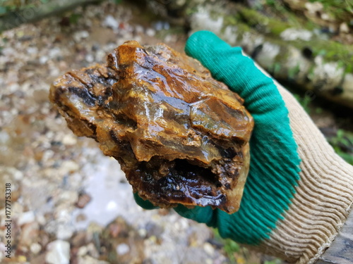 Close-up of a vibrant chert-chalcedony rock specimen, glistening wet in a gloved hand. Discovery in nature's wild embrace, showcasing raw geological wonder